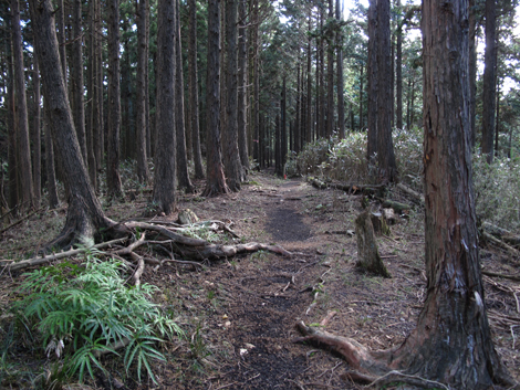 20161216hike (345)